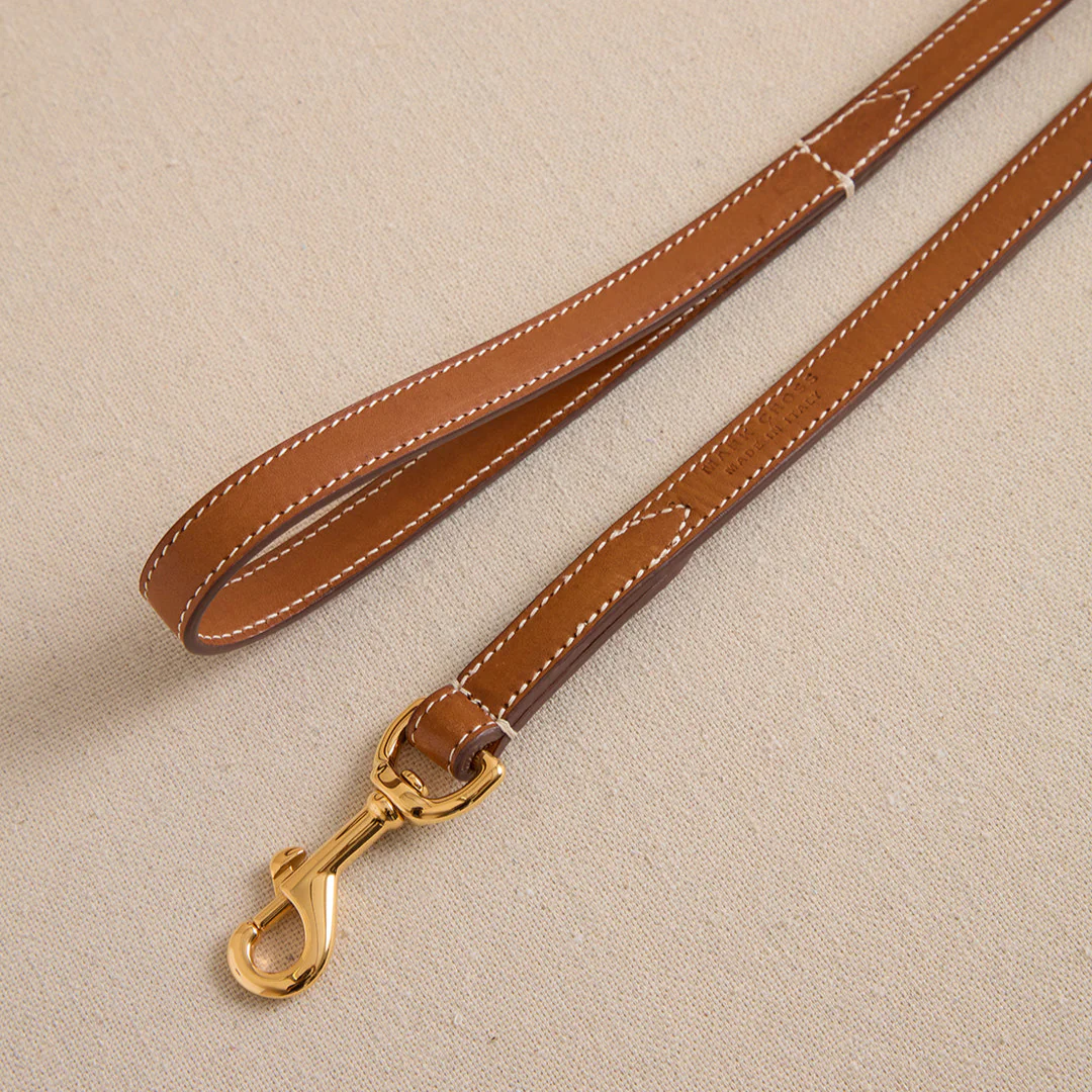 Pet Leash 15 in Luggage - Image 2