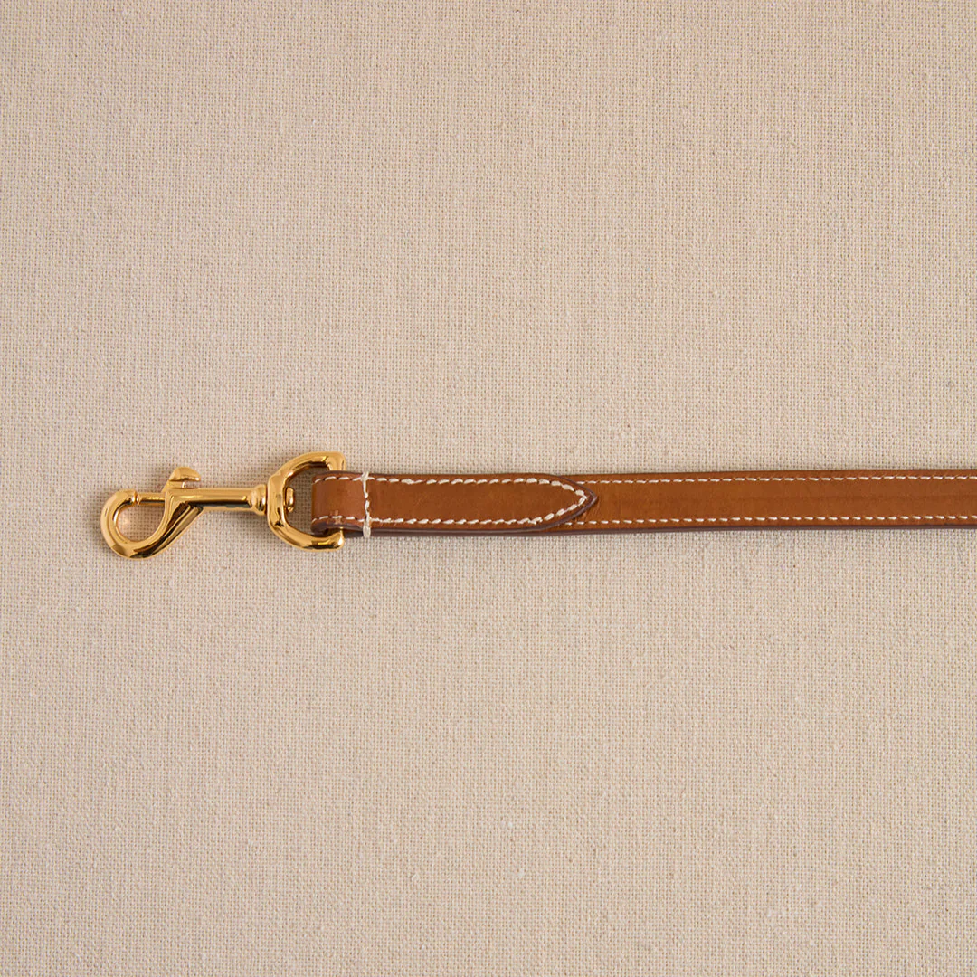 Pet Leash 15 in Luggage - Image 3