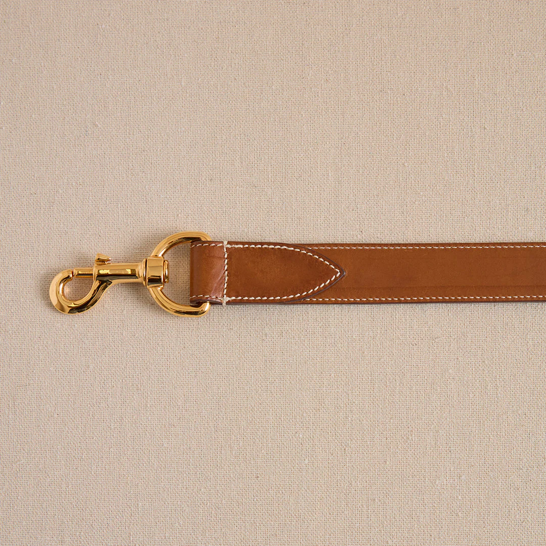 Pet Leash 30 in Luggage - Image 3