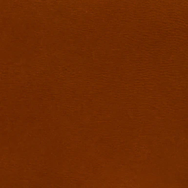Jane in Acorn - Image 6
