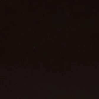 Belt 45 in Black - Image 4