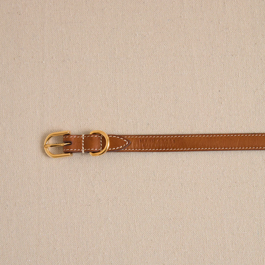 Pet Collar 15 in Luggage - Image 3