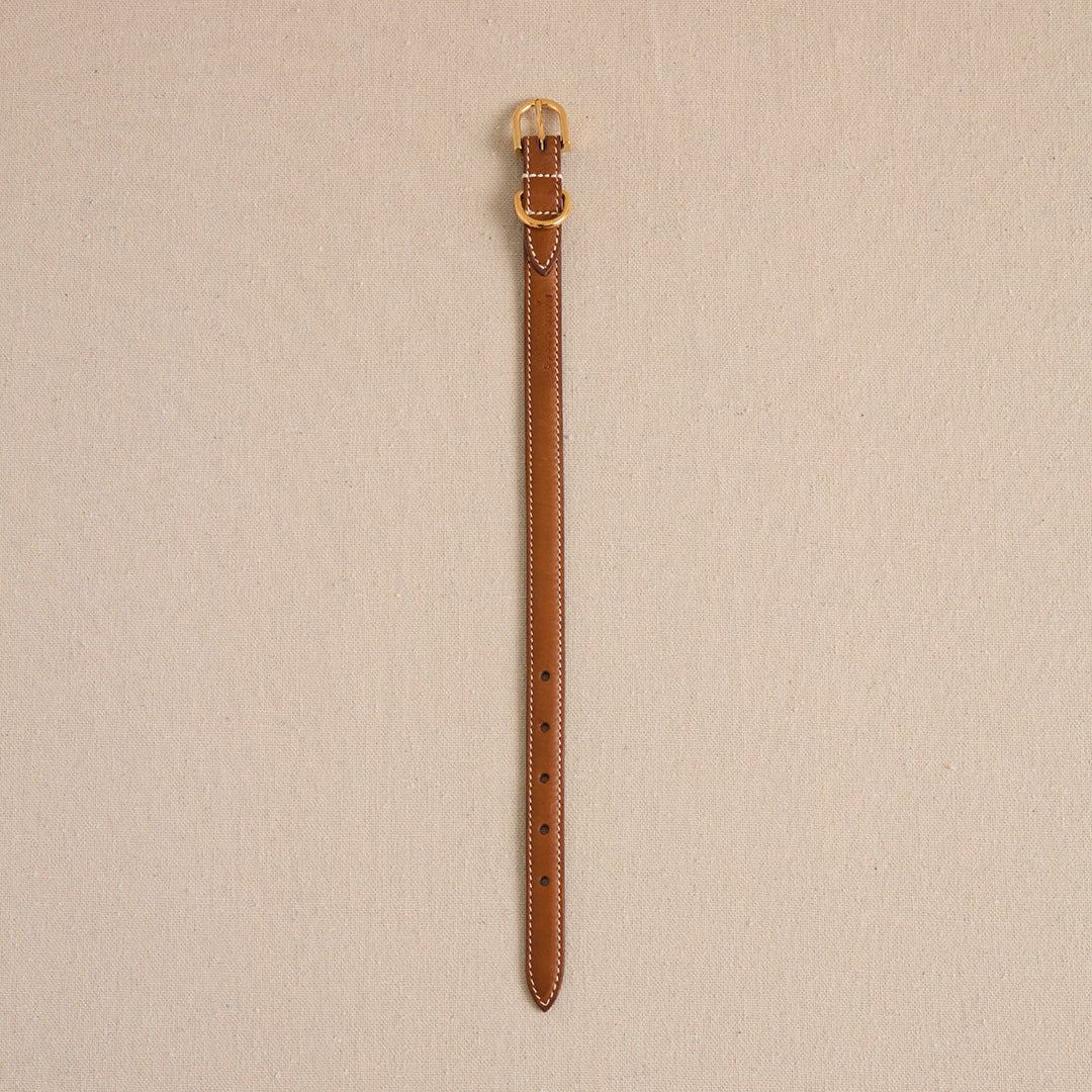 Pet Collar 15 in Luggage - Image 4