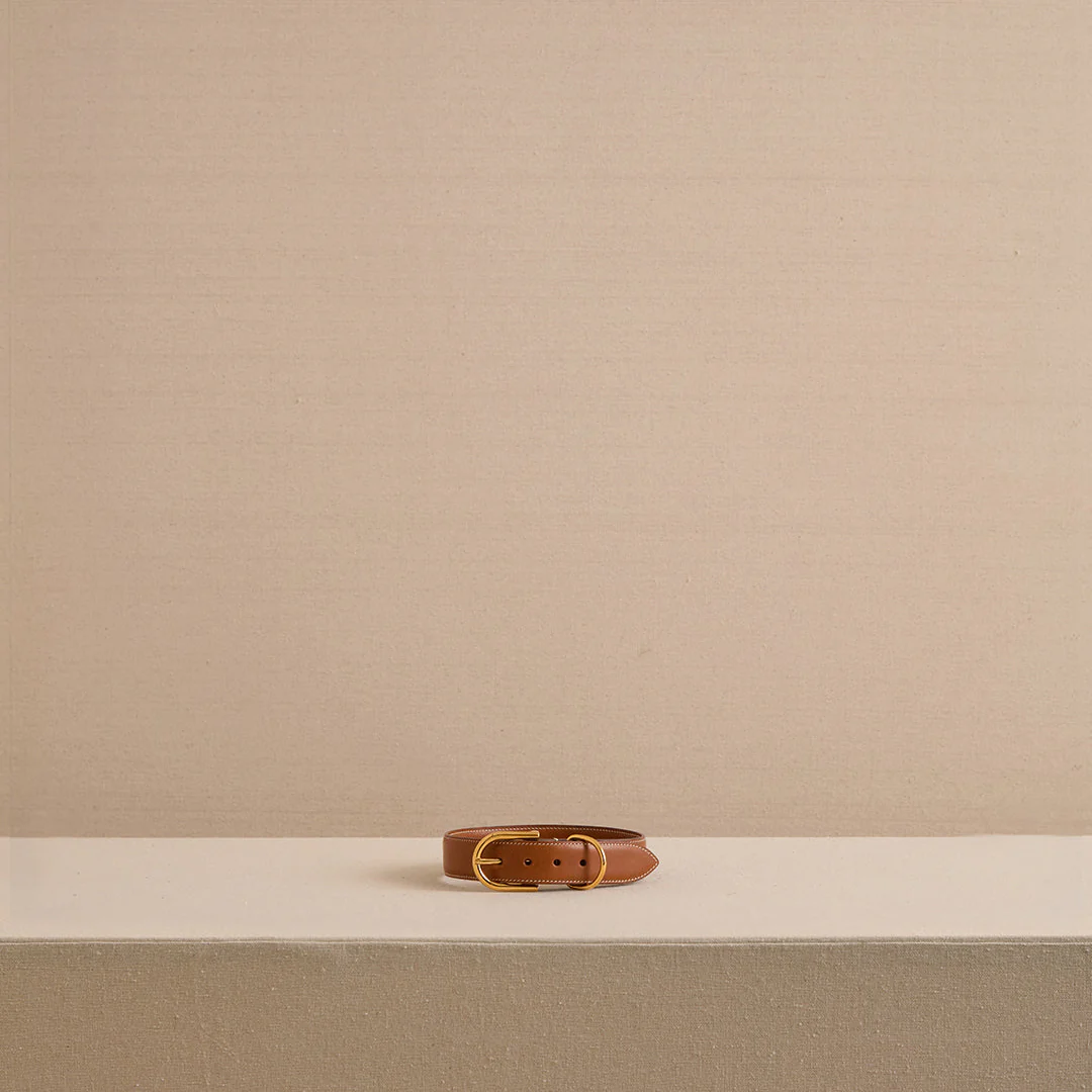Pet Collar 30 in Luggage - Image 3