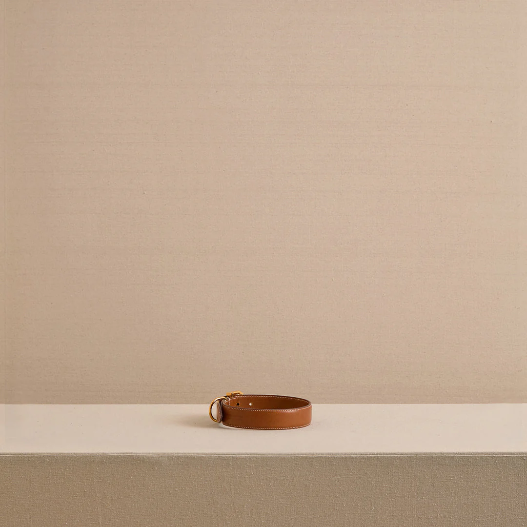 Pet Collar 30 in Luggage - Image 5