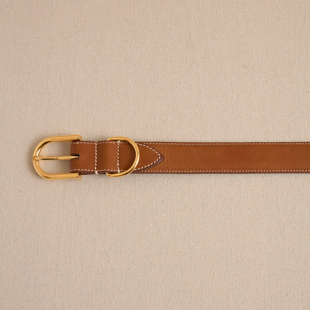 Pet Collar 30 in Luggage - Image 6