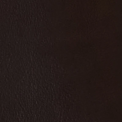 Belt 35 in Black - Image 3
