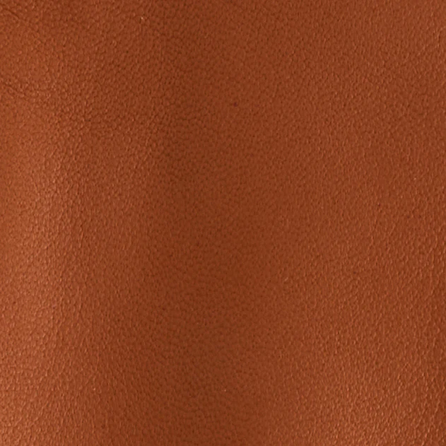 Babe 24 in Luggage - Image 4