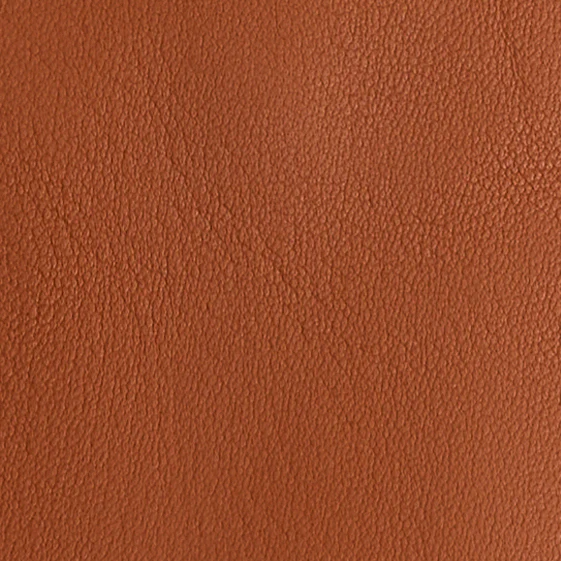 Babe 35 in Luggage - Image 4